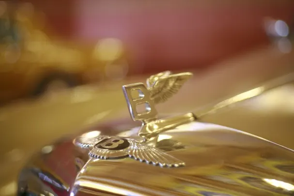 Casino Bet Winner Aplicación Android/iOS